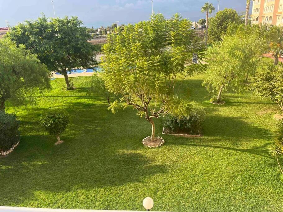 Casa Di Mateo With Garden View And Swimming Pool Apartman Torrevieja Kültér fotó