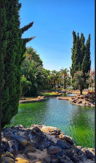 Casa Di Mateo With Garden View And Swimming Pool Apartman Torrevieja Kültér fotó
